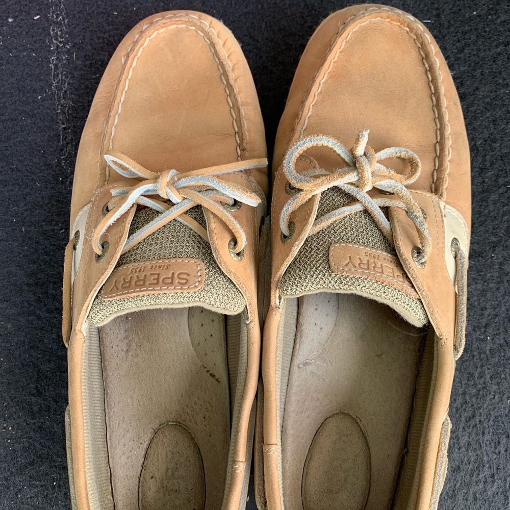 Sperrys size 11